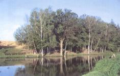 Bartuskův rybník